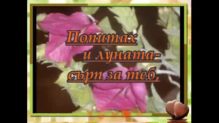@ Търся те @ 