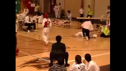 Taekwondo Knockout