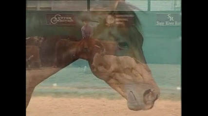 Bob's Hickory Rio - Cutting Horse