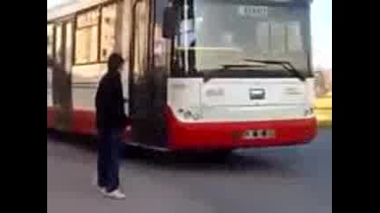Голеи тапанари