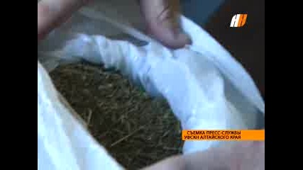 Заловени Наркопласьори
