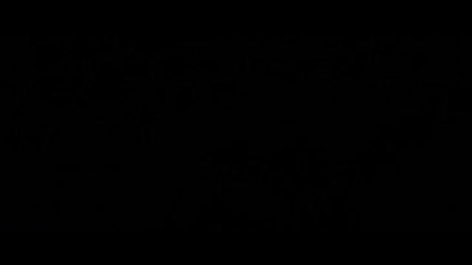 Harry Potter and Deathly Hallows Part 1 Movie Hd Trailer 2010 