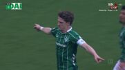 SV Werder Bremen vs. Hamburger SV - Game Highlights