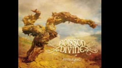 Boisson Divine - Enradigats ( full album 2013 ) folk metal France