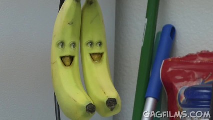 Annoying Orange Wazzup