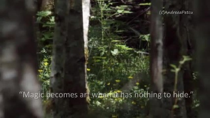 Bernward Koch - разказ