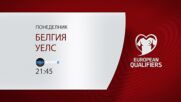 Белгия - Уелс на 9 юни, понеделник от 21.45 ч. по DIEMA SPORT 2