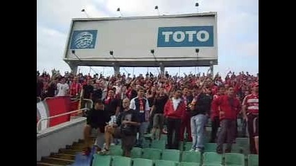 Цска 3 - 0 Клифтънвил (27.07.2010) - Секторите 