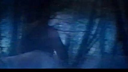 Отваряне на Поле на мечтите с Кевин Костнър (1989) на Мулти Видео Център (1998) Vhs Rip