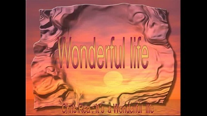 Chris Rea- Wonderful Life
