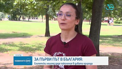 За първи път в България: Египетски лешояд даде поколение в дивата природа (ВИДЕО)
