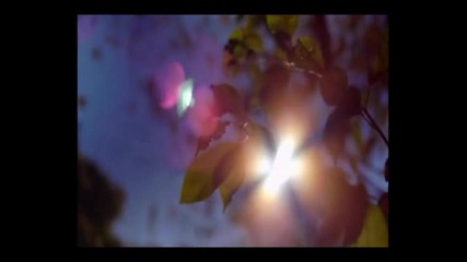 Miroslav Ilic - Есенна балада