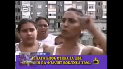 Кон на лизинг :d цигански изцепки !!!