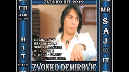 Zvonko Demirovic - Julia Bikova - Zenimo Tu Sijan - Hit - 2012 - Sajo - It.wmv