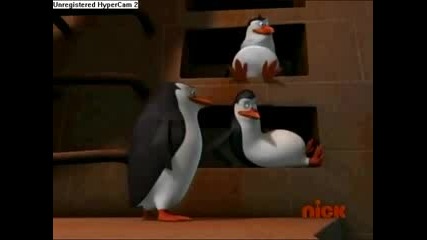 Penguins of Madagascar - Cotton Eyed Joe