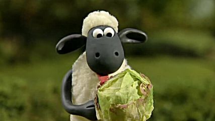 Shaun the Sheep intro