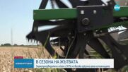 Зърнопроизводители искат с 30% по-висока изкупна цена на пшеницата