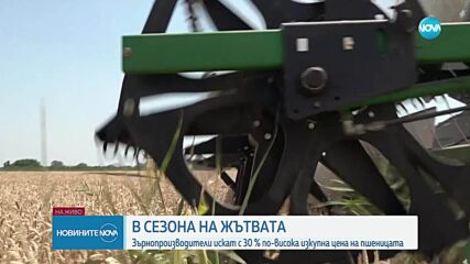 Зърнопроизводители искат с 30% по-висока изкупна цена на пшеницата