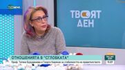 Скандалите в управлението – кой трябва да носи отговорност