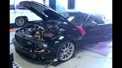 Shelby Gt500 Super Snake Dyno Pull 