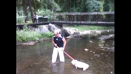 Vid_20150814_175733