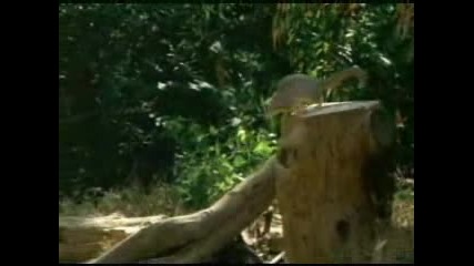 На косъм от смърта !!!!!!!
