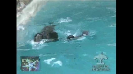 ! Бебе морско лъвче на урок по плуване 