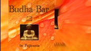 Yoga, Meditation and Relaxation - Amazonian Drop (Budha Bar Vol. 2)