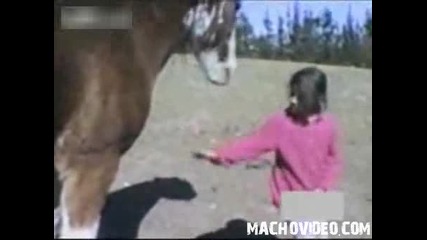 отмъщението на конят