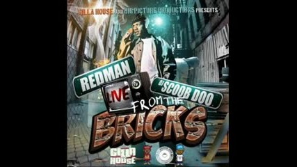 Redman - Shut Em Down 