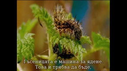 The Human Body - Life Story - 1 / 3 