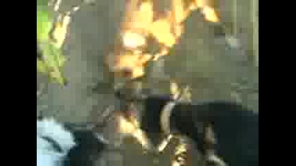 lov - manoli4 8