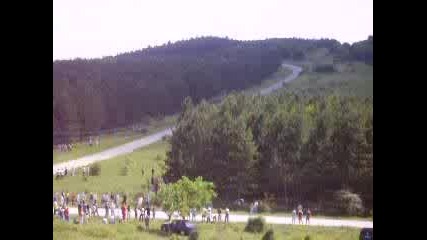 Рали