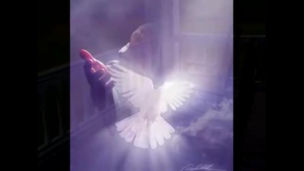 Tenderly Calling - John Denver