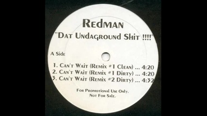 Redman - Can t Wait Remix 1 Montage