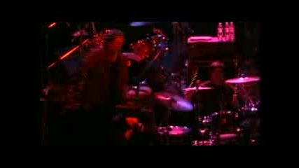 Roadhouse Blues Doghouse Riley At The Warfield Theater