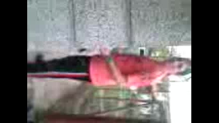 Ke4 S Teleport S Hubav Kray