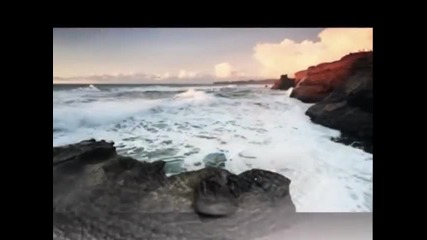 Allen & Lande - When Time Doesn't Heal