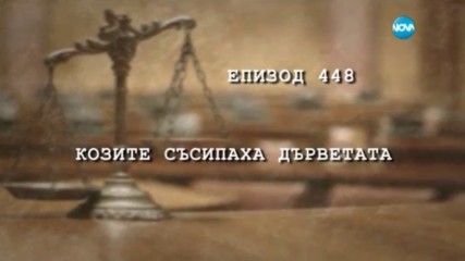 Съдебен спор - Епизод 448 - Козите съсипаха дърветата (18.03.2017)
