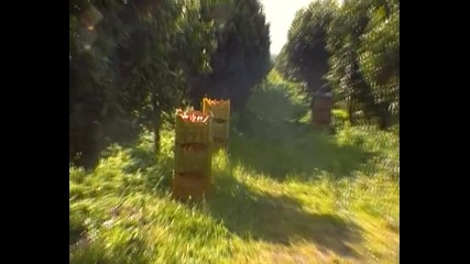 uyri vitalia ot ixtiman