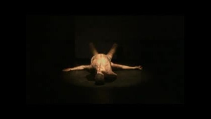 Imago