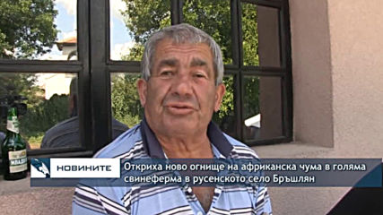 Откриха ново огнище на африканска чума в голяма свинеферма в Русенското село Бръшлян