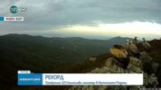 РЕКОРД: Преброиха над 300 белоглави лешояди в Родопите