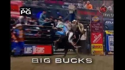 Tulsa Bulls Spotlight on some of the bulls in the short go 
