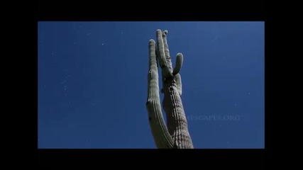 Apocalyptica - Ruska Hd 1080p