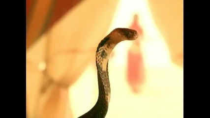 R. Kelly - Snake [ високо качество ]