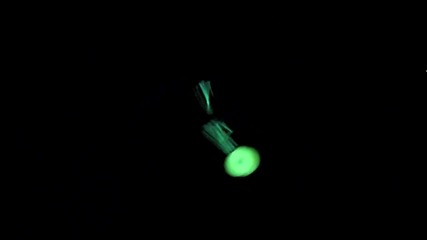 Glow Nasty