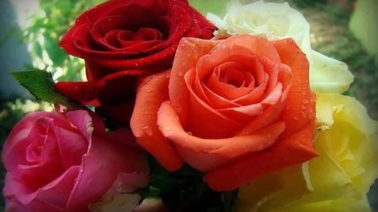 Tango de roses - Giovanni Marradi