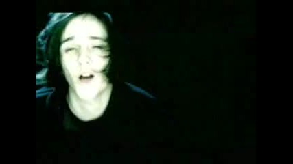 Dark Star - Graceadelica
