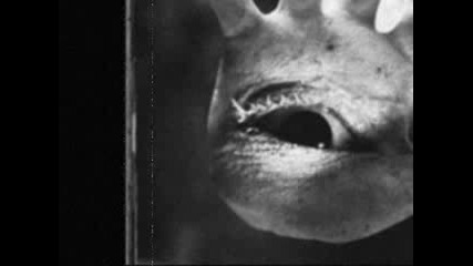 Sopor Aeternus - Do you know about the Water of Life